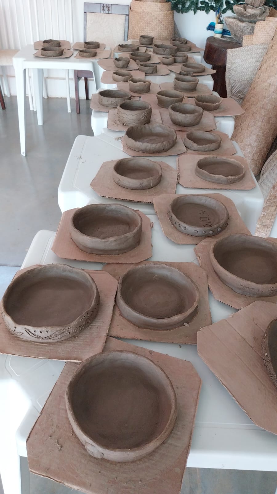 Registro de Do Chão que Brota a Vida