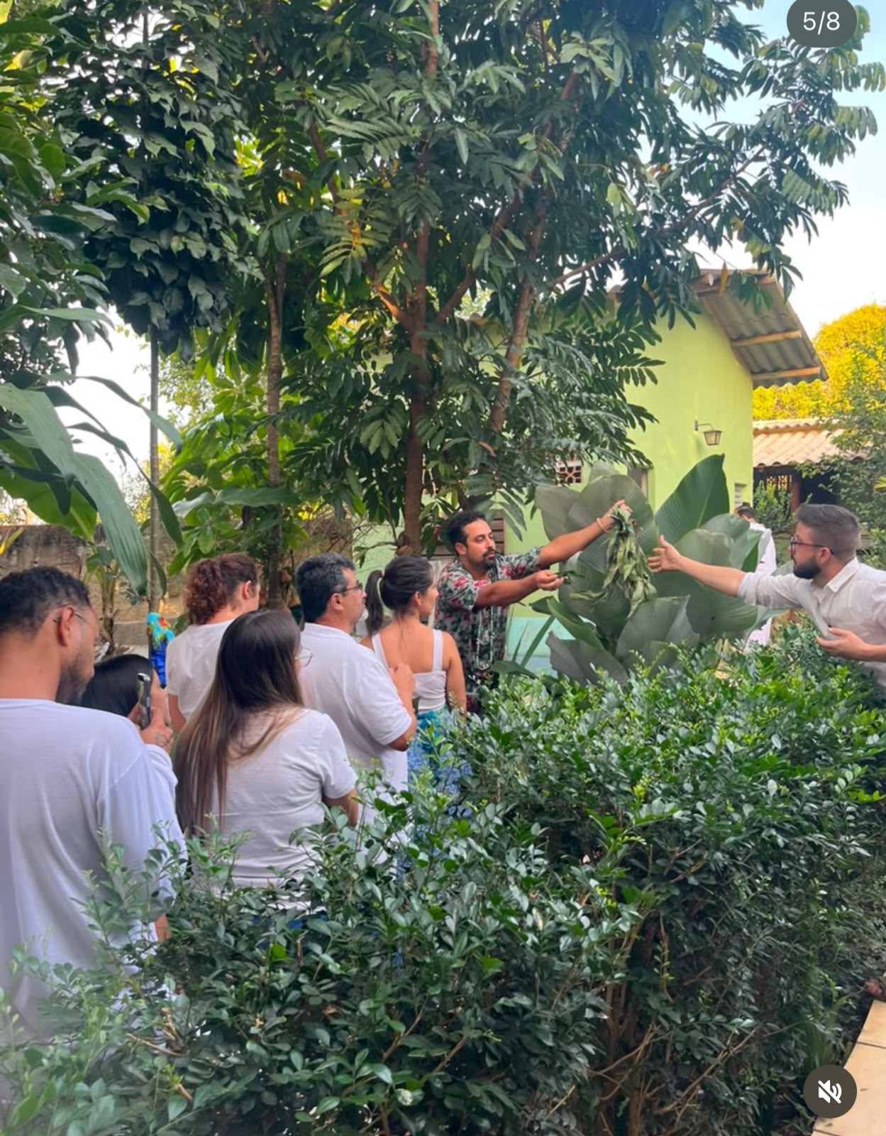 Registro de 10ª  vivência das folhas sagradas