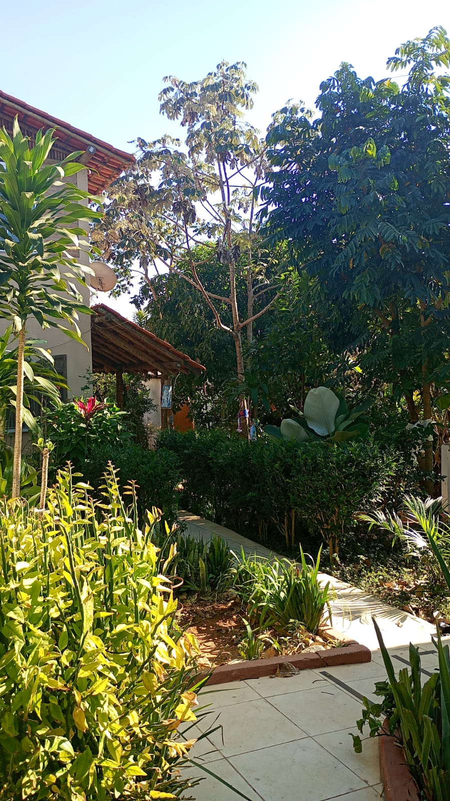 Memória da Roça Santo Antônio — foto 8