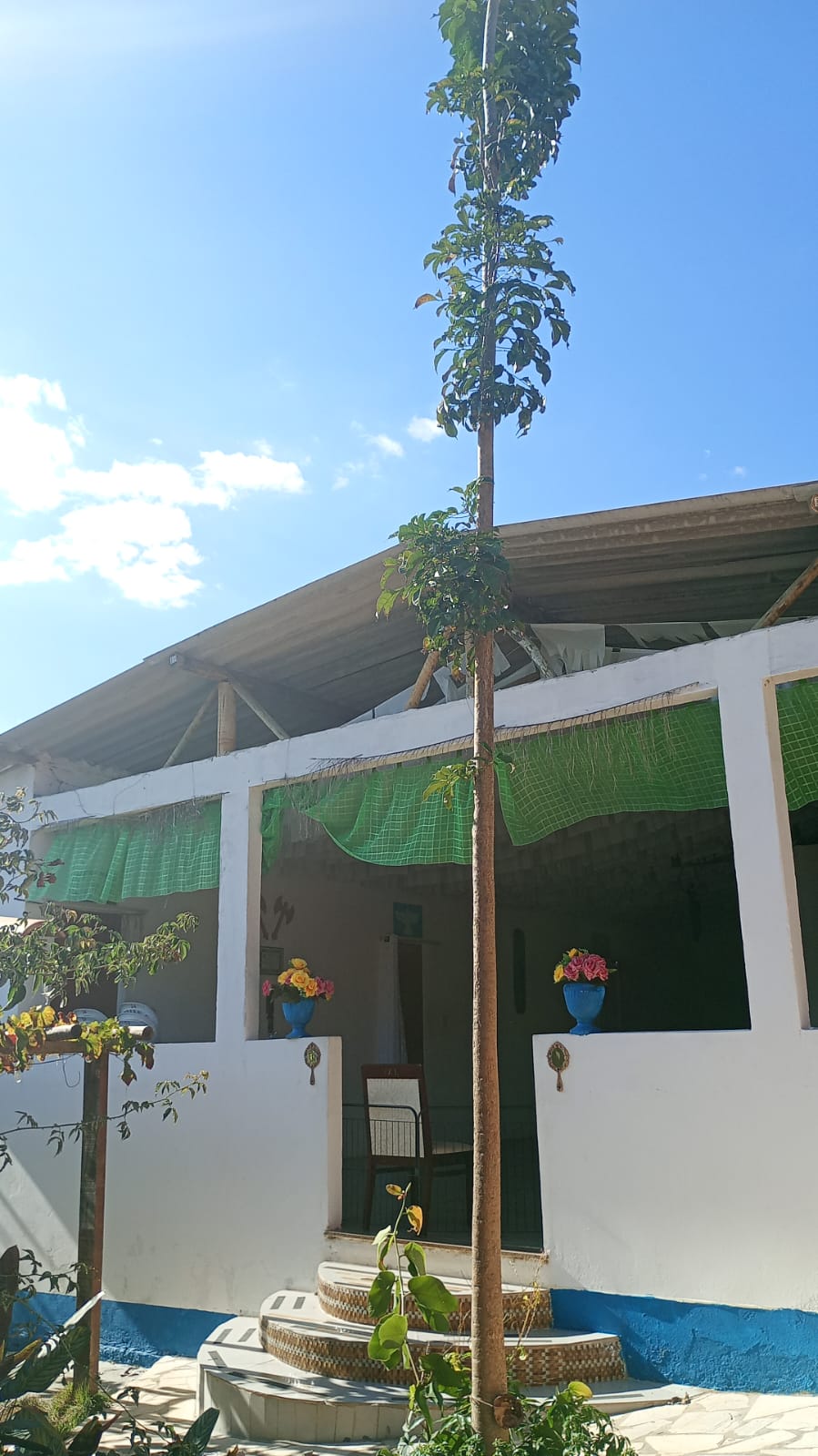 Memória da Roça Santo Antônio — foto 3