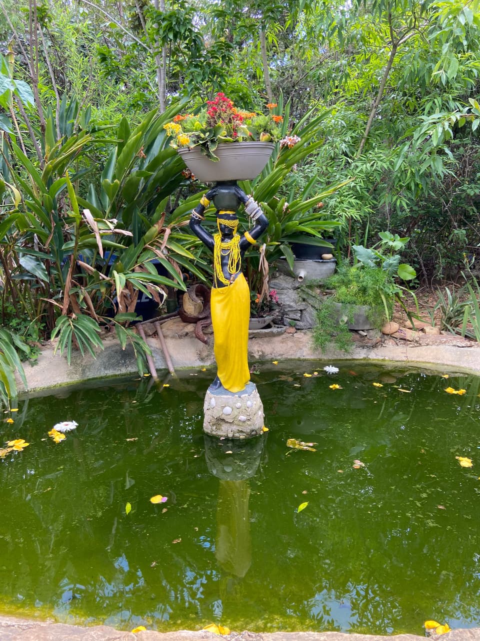 Memória da Roça Santo Antônio — foto 2