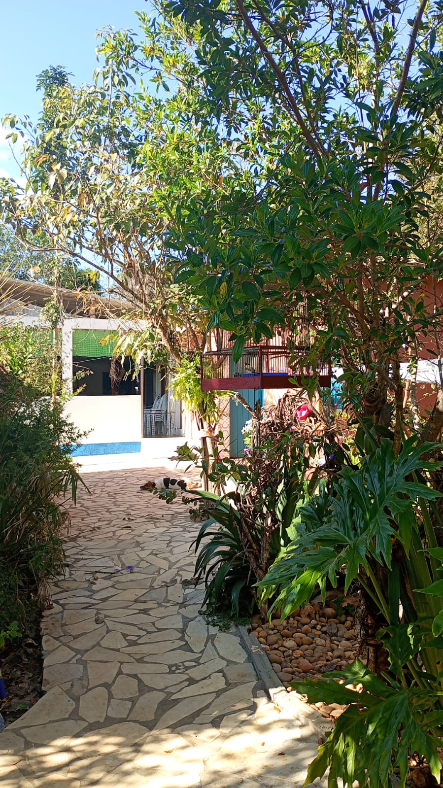 Memória da Roça Santo Antônio — foto 7